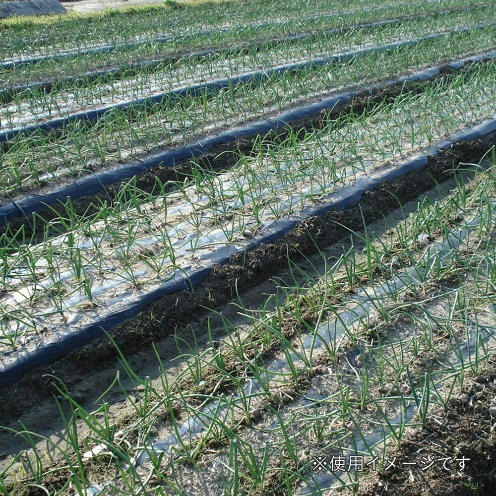 【8月6日まで】不毛の大地 4枚セット 国内販売中/28日発売予定】アディダス オリジナルス ZX 8000 