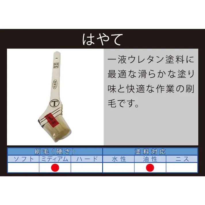 大塚刷毛製造 マルテー 合成樹脂塗料用刷毛 はやて 筋違 白 20号 50mm
