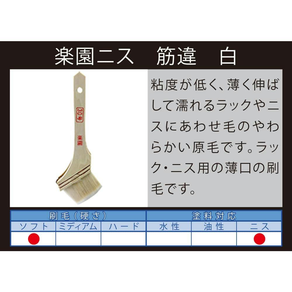 大塚刷毛製造 マルテー 新 楽園ニス 筋違 白 30号 | ペンキ