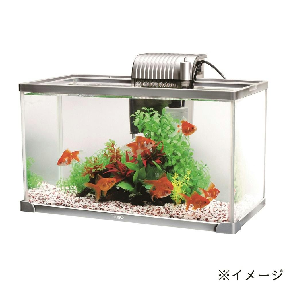 テトラ 観賞魚水槽セット(カインズ限定) AG-52 | 水中生物用品・水槽 