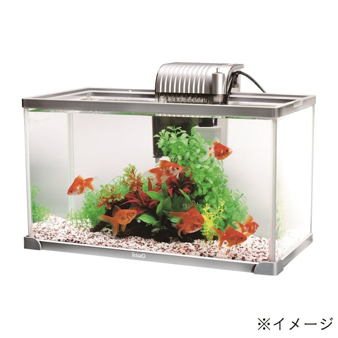 テトラ 観賞魚水槽セット(カインズ限定) AG-52