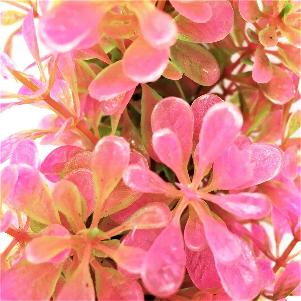 テトラ フレキシブルプラント FP-3 | 水中生物用品・水槽用品 通販