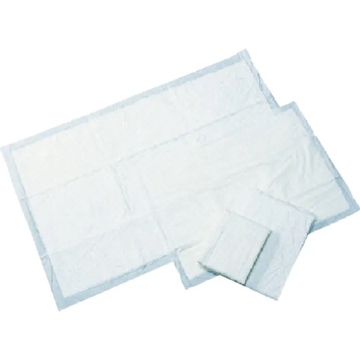 【CAINZ-DASH】橋本クロス 吸水パッド 600×900mm (50枚入) HL-01【別送品】