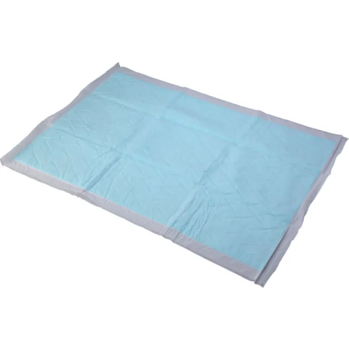 【CAINZ-DASH】橋本クロス 吸水パッド 600×900mm (50枚入) HL-01【別送品】