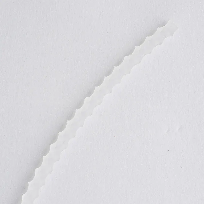 4Gブレードカッター専用 差替えナイロン4Gブレード N33GN-202 20本入