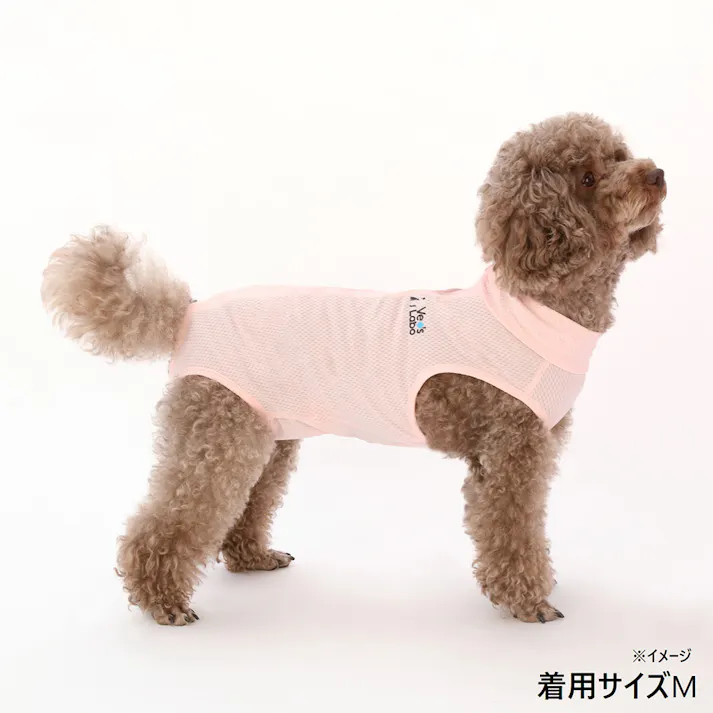 ベッツウェア 女の子用 ピンク M