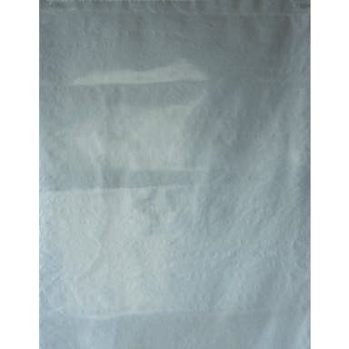 【CAINZ-DASH】島津商会 アスベスト回収袋　透明小（Ｖ）　（１Ｐｋ（袋）＝１００枚入） B-3【別送品】