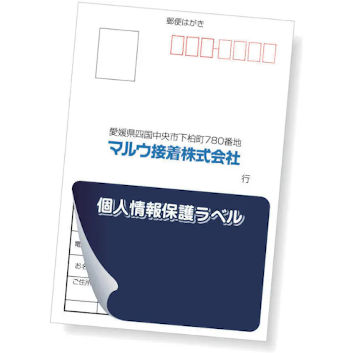 【CAINZ-DASH】アイマーク 個人情報保護ラベルS(90X140mm)10枚入り APIP-S-L【別送品】