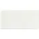 【CAINZ-DASH】アイマーク 無地名札 35×70×2mm 白地 AN-3570WCMZ【別送品】