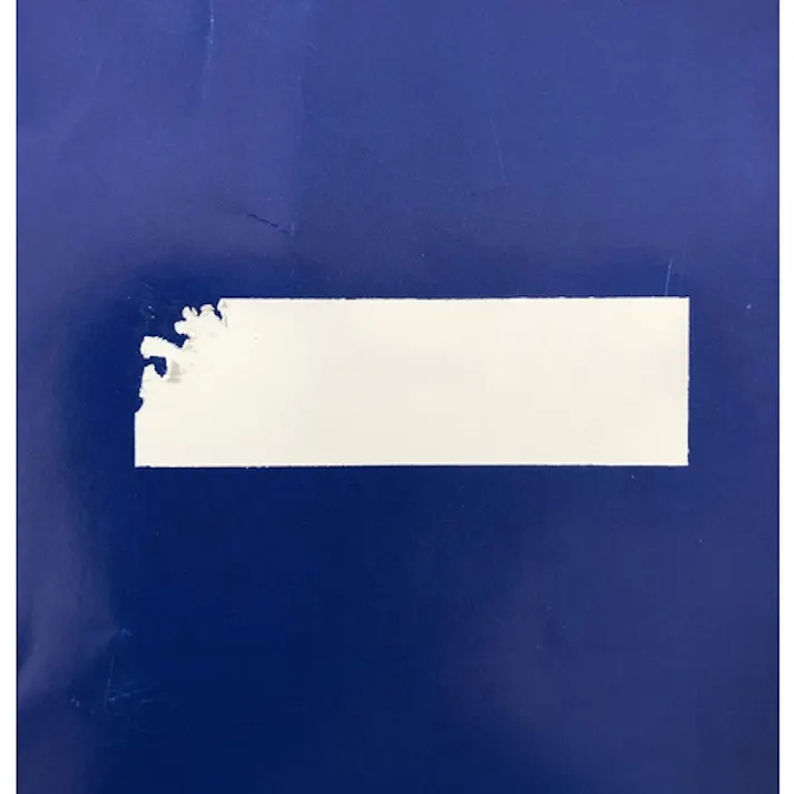 【CAINZ-DASH】アイマーク セキュリティシール ぜい質タイプ 長方形 15×50mm ASS-ZS【別送品】