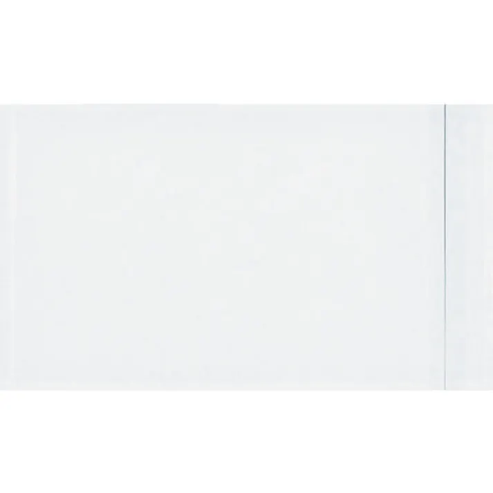 【CAINZ-DASH】パピルスカンパニー デリバリーパック 完全密封タイプ 145×250 100枚入 全面糊 PA-002T【別送品】