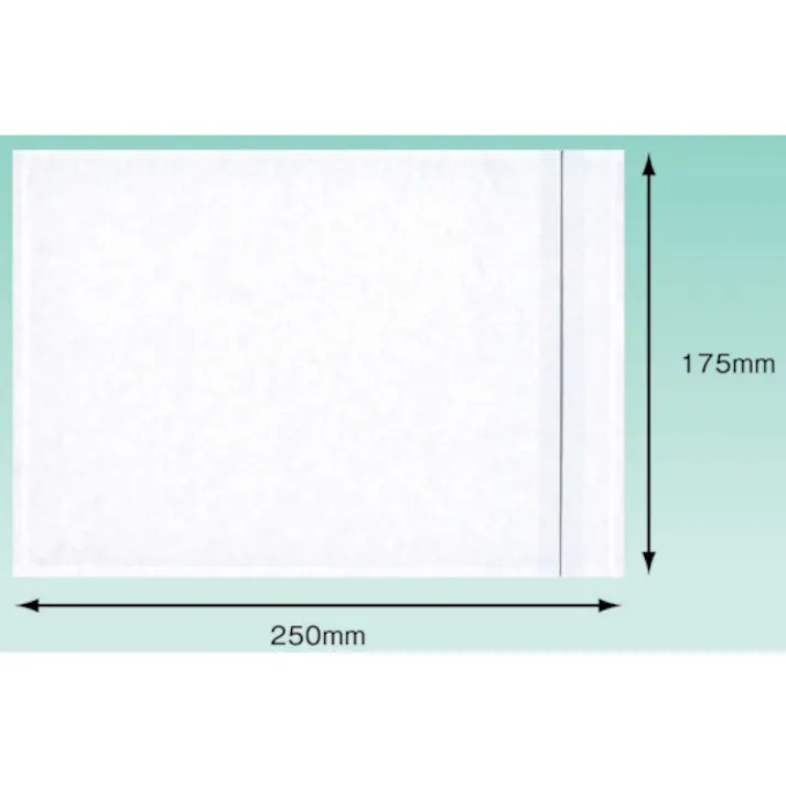 【CAINZ-DASH】パピルスカンパニー デリバリーパック (A5サイズ用) 175×250 100枚入 全面糊 PA-005T【別送品】