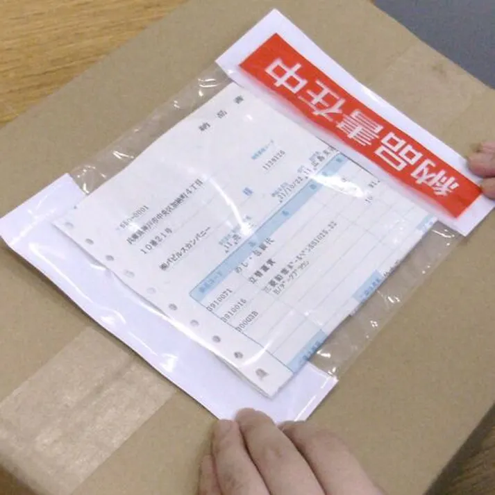 【CAINZ-DASH】パピルスカンパニー デリバリーパック (納品書在中) 部分糊タイプ 165×230 100枚入 PA-012T【別送品】