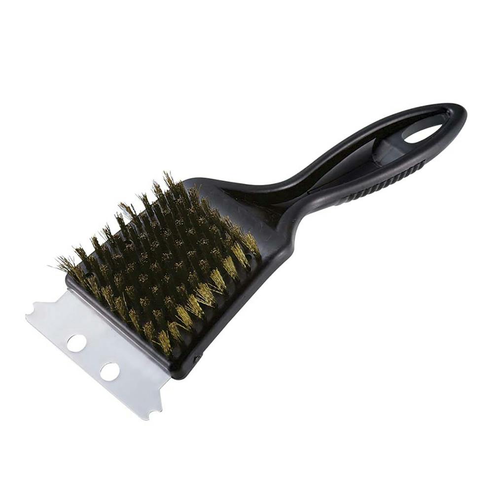 レア ガステリア 軍配恐竜×臥牛 特大 仔株2つ付き 5号ブラックポット 1