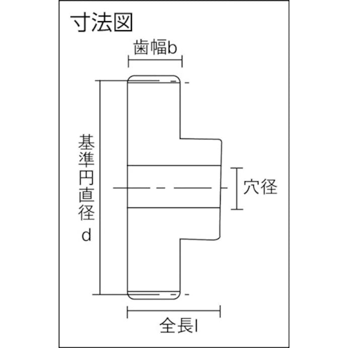 【CAINZ-DASH】片山チエン ピニオンギヤＭ２．５　歯数４０　直径１００　歯幅２５　穴径２０ M2.5B40【別送品】