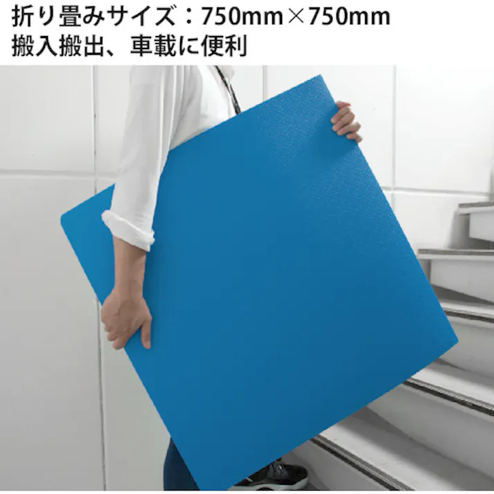 【CAINZ-DASH】積水化学工業 プラベニハードNS折り畳み Z20799【別送品】