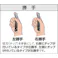 【CAINZ-DASH】三和製作所 切削工具 超硬バイト 11形 13×13×145 K10 11-1【別送品】