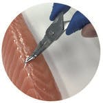 CAINZ-DASH】朝日産業 骨抜き達人3 ASR-003【別送品】 | 研究