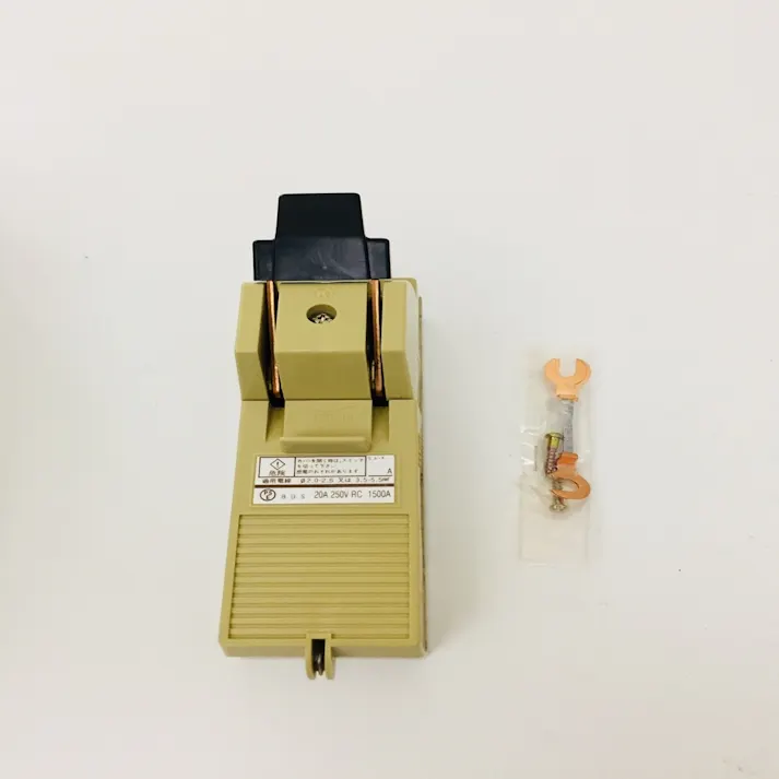 河村電器 カバースイッチ CS 2P 20A