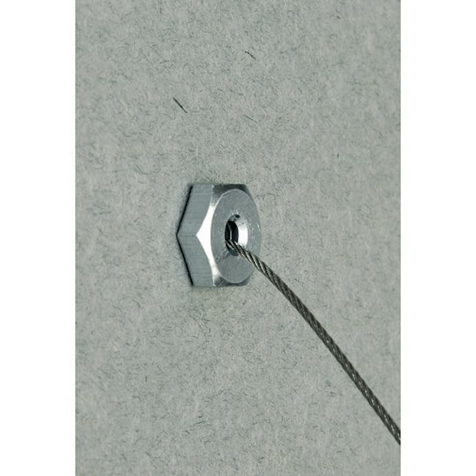 【CAINZ-DASH】日栄インテック 吊り金具用ワイヤ　ＴＢワイヤー２Ｍ　（２本入） N-200303020【別送品】