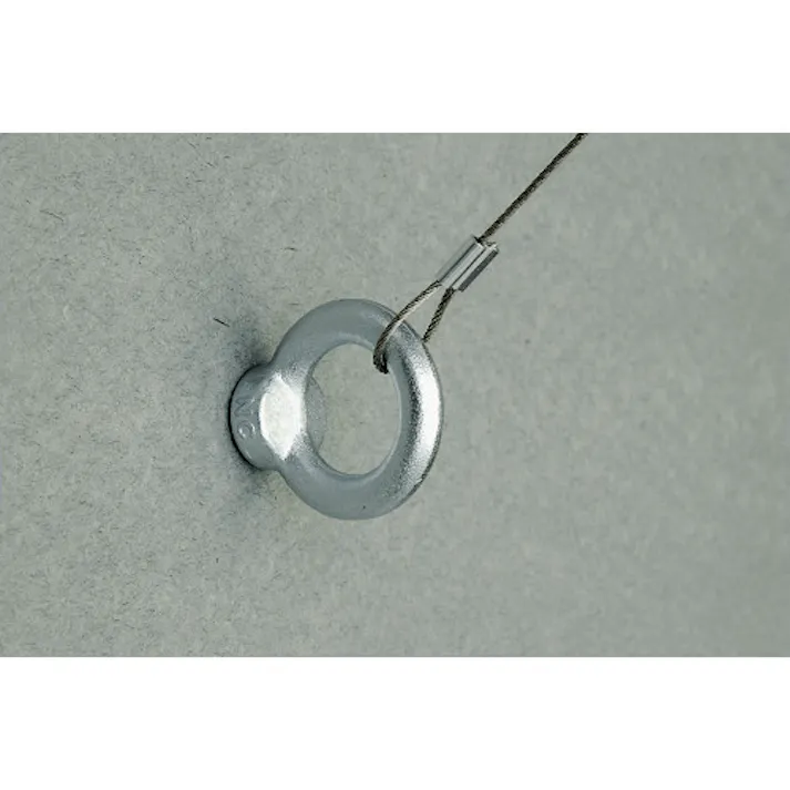 【CAINZ-DASH】日栄インテック ループワイヤー2M (2本入) N-200306020【別送品】