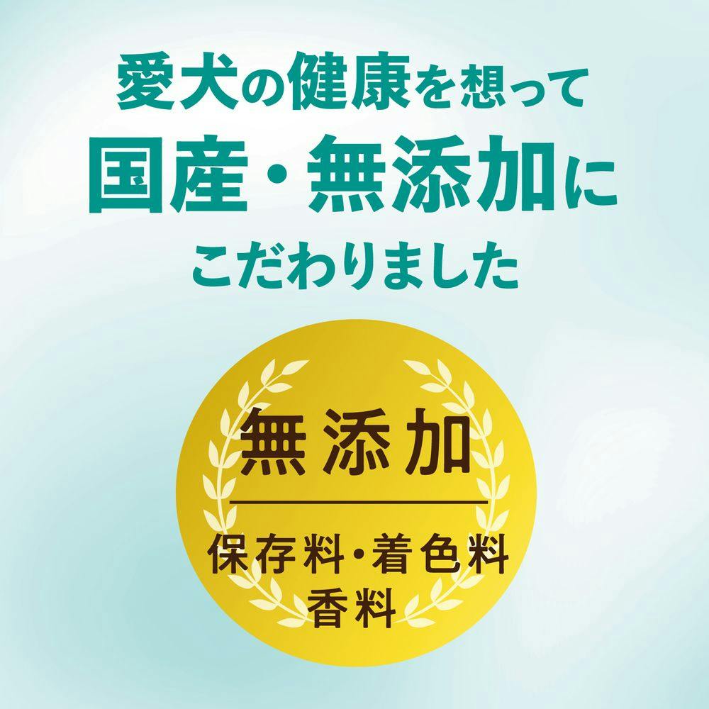 チューデント超長持ち歯みがきガム SS ご褒美チキン風味 11本入