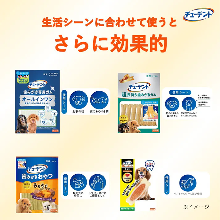 チューデント 歯みがきおもちゃ ボーン M さつまいもフレーバー
