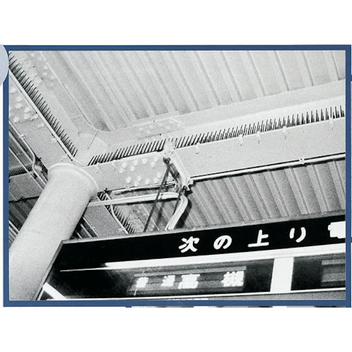 【CAINZ-DASH】積水テクノ成型 ハトプロテクター 2-N型 グレー THPM2NH【別送品】