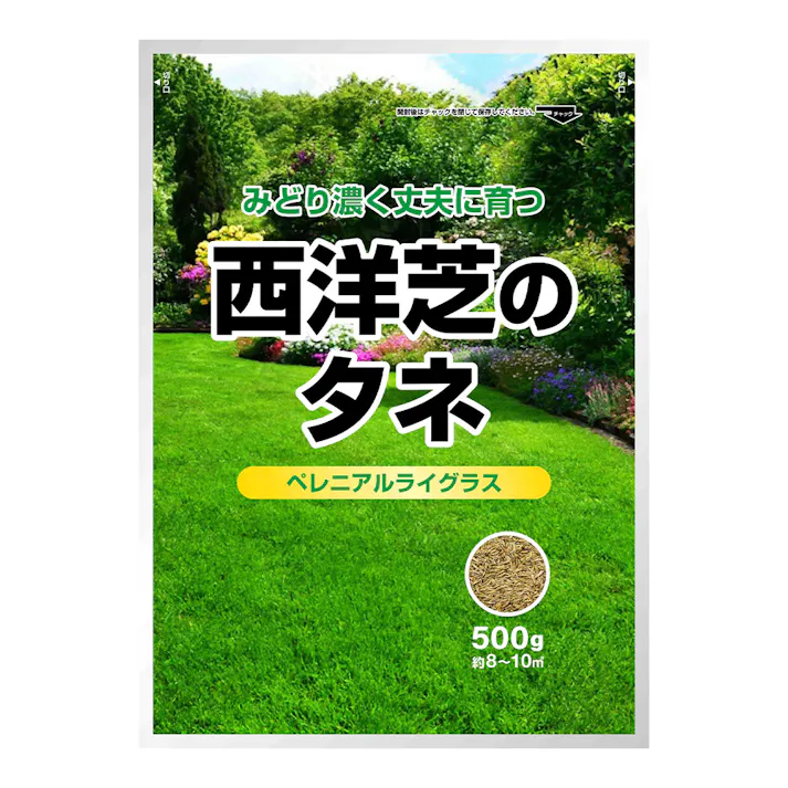 西洋芝のタネ ペレニアルライグラス