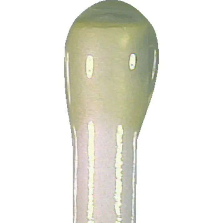 【CAINZ-DASH】アトム興産 ペタめん棒MT (20本入) PS-2520MT【別送品】