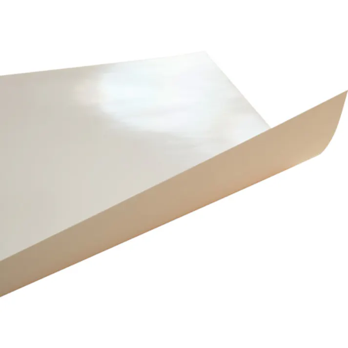 【CAINZ-DASH】欧文印刷 消せる紙 A4 PNCGSA4W08【別送品】