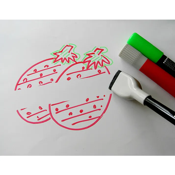 【CAINZ-DASH】欧文印刷 消せる紙 A1(方眼5枚) M5CGSA1W05【別送品】