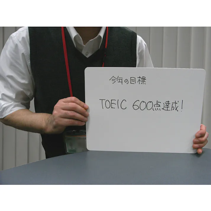 【CAINZ-DASH】欧文印刷 紙製 薄型ホワイトボード A4判 UBNGWA4W10【別送品】