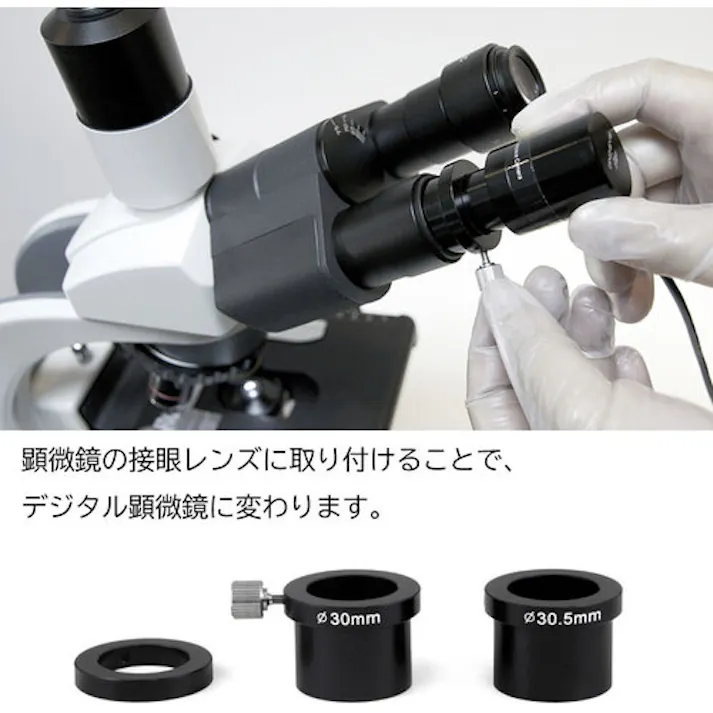 【CAINZ-DASH】ANMO社 Dino-Eye Edge M DINOAM4025X【別送品】