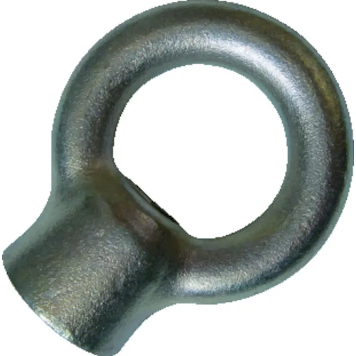 【CAINZ-DASH】浪速鉄工 アイナット 三価クロメート M8 EN8000008【別送品】