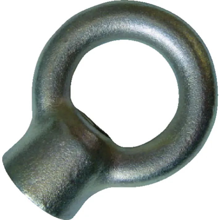 【CAINZ-DASH】浪速鉄工 アイナット 三価クロメート M10 EN8000010【別送品】