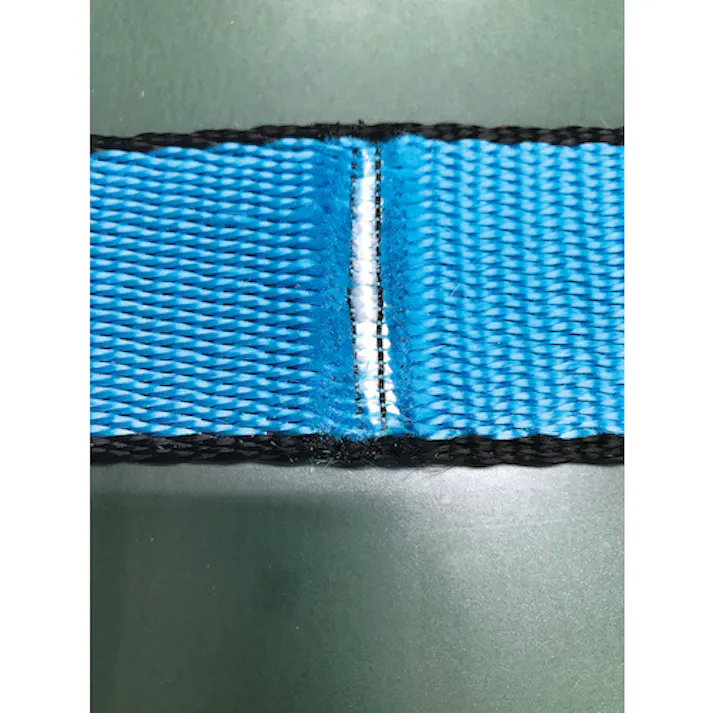 【CAINZ-DASH】オールセーフ オールセーフスリングベルト3E25x5.5m スカイブルー AS3E25-55【別送品】