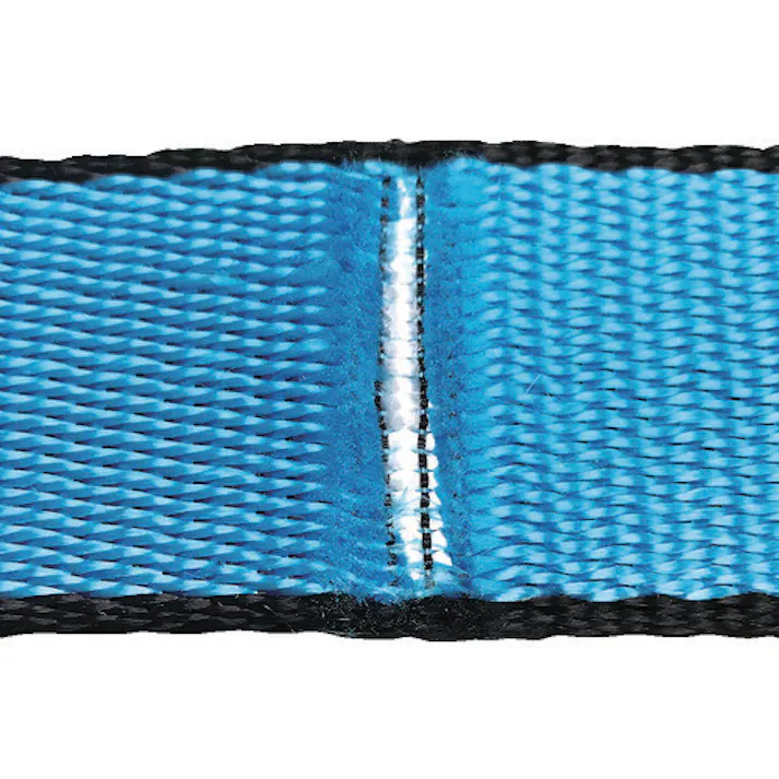 【CAINZ-DASH】オールセーフ オールセーフスリングベルト3E35x10m スカイブルー AS3E35-100【別送品】