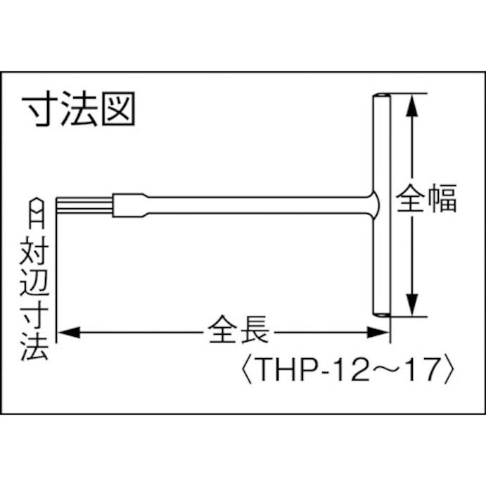 【CAINZ-DASH】水戸工機 Ｔ型ホローレンチ　パワータイプ　１７ｍｍ THP-17【別送品】