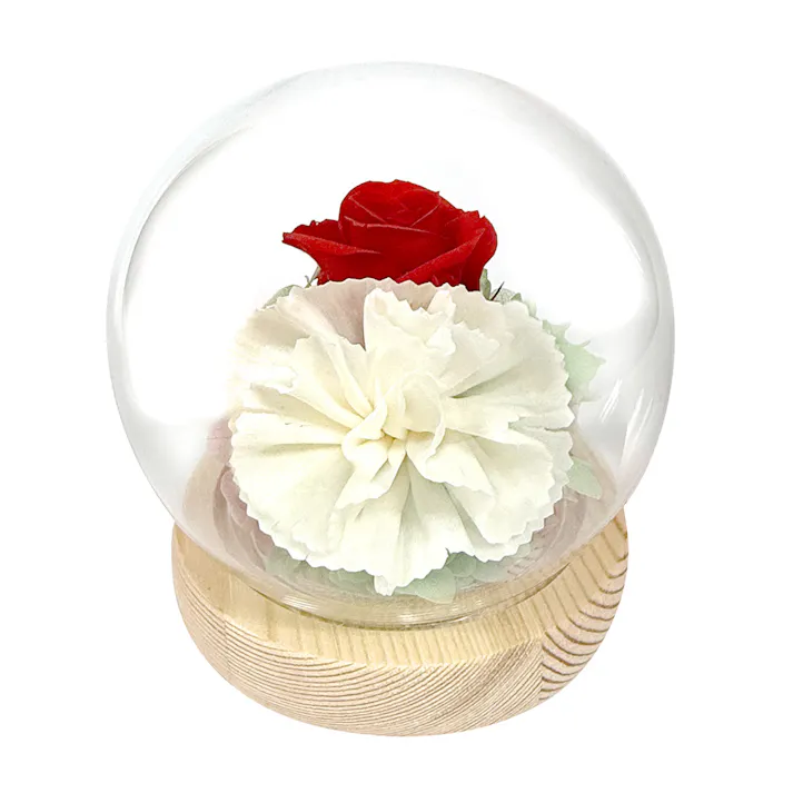 スフィアドームアレンジメント萌/レッド