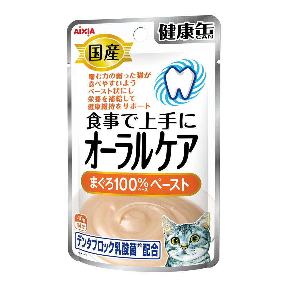 SALE／70%OFF】 アイシア 国産 健康缶パウチ 水分補給 まぐろペースト ４０ｇ