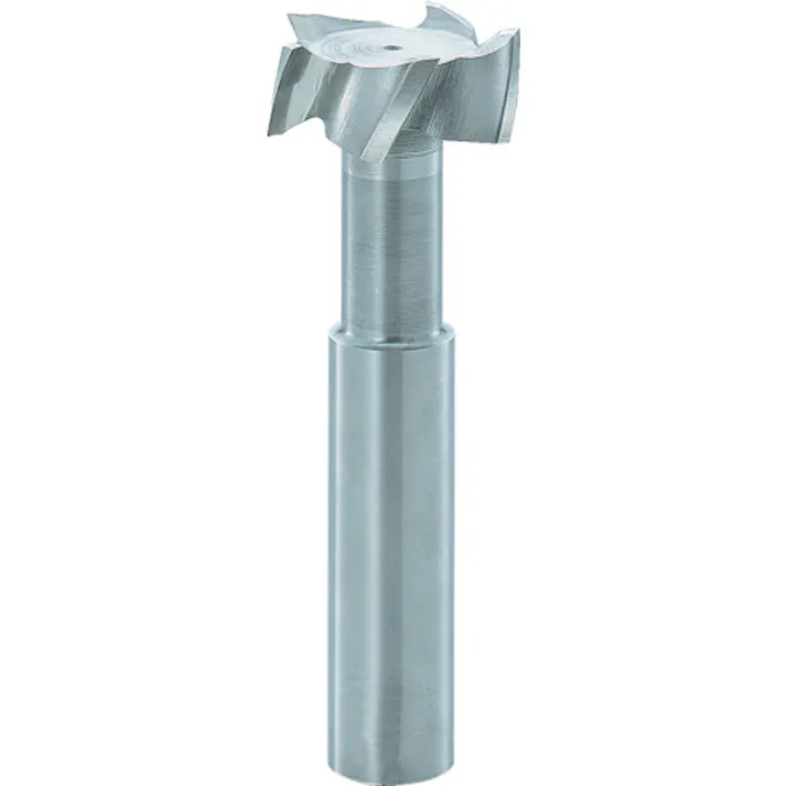 【CAINZ-DASH】フクダ精工 Tスロットエンドミル15×6 TSE15X6【別送品】