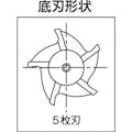 【CAINZ-DASH】フクダ精工 Ｔスロットエンドミル２２×５ TSE22X5【別送品】