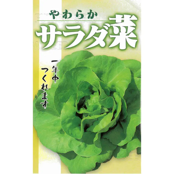 小袋 やわらかサラダ菜
