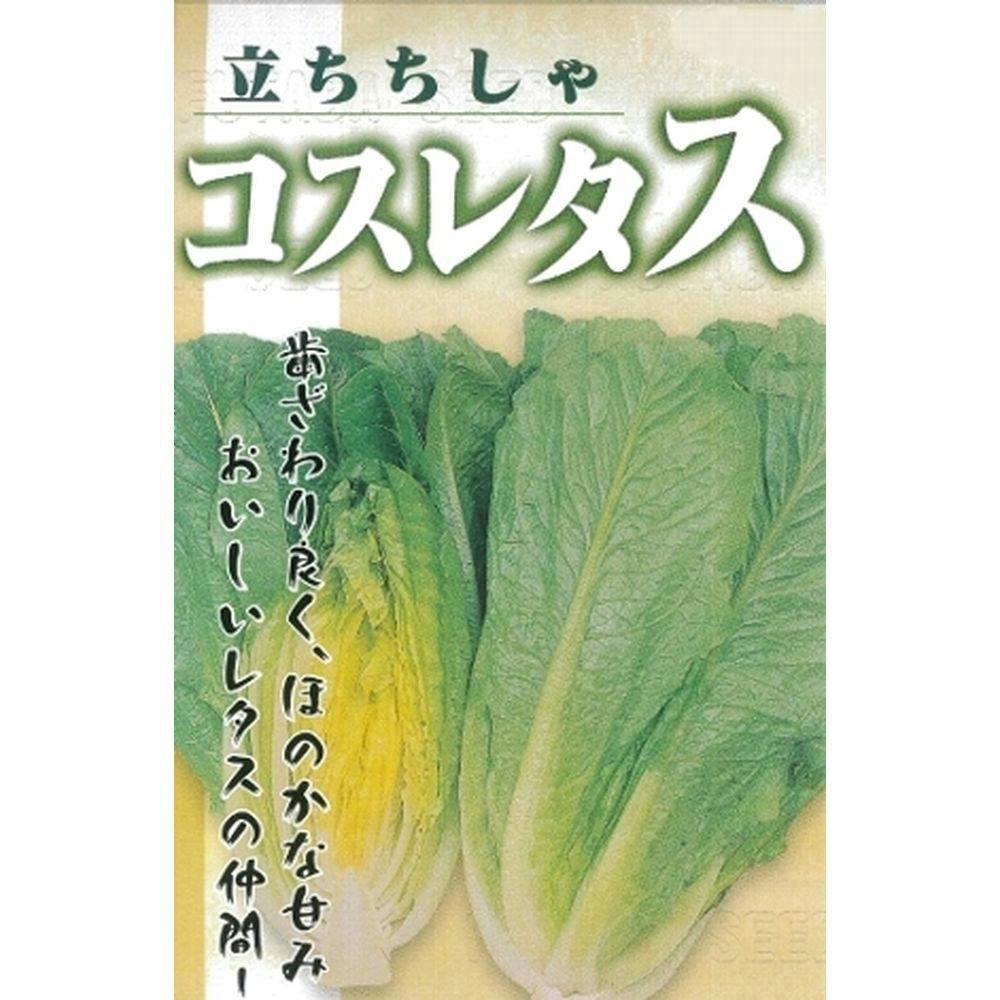 小豆大納言(販売終了) | 花＆グリーン 通販 | ホームセンターの