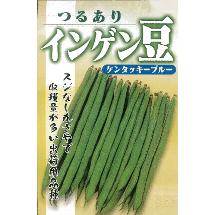 小袋 つるあり菜豆 ケンタッキーブルー