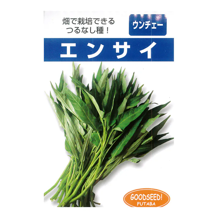 小袋 エンサイ 20ml