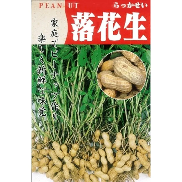 小袋 落花生(半立性)