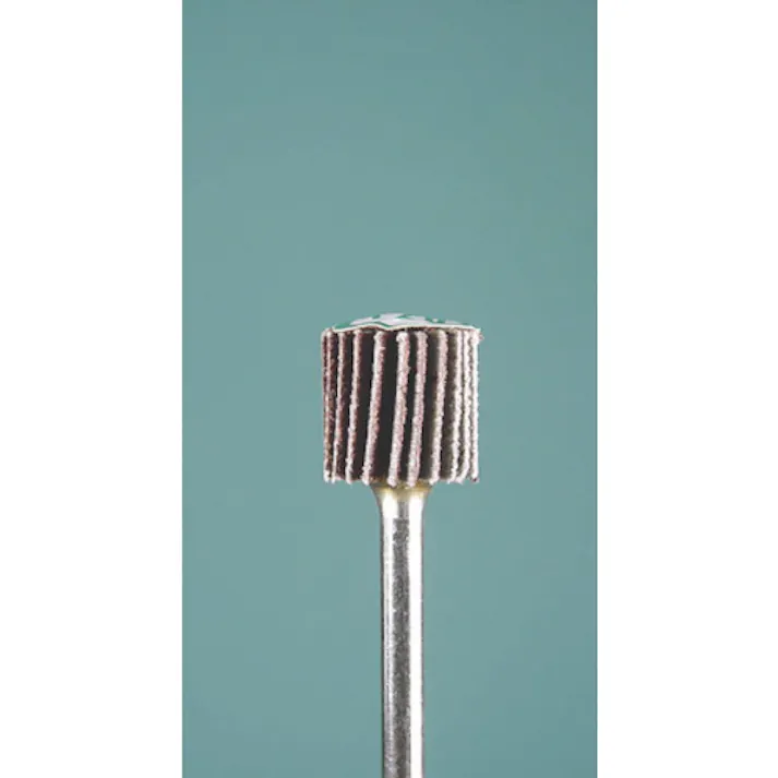 【CAINZ-DASH】ミニター ラジアルサンダー#120 φ10 (3本入) EA1103【別送品】