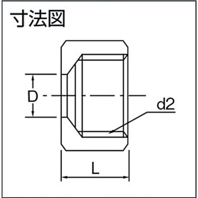 【CAINZ-DASH】アソー リングナットΦ１０ RN-1010【別送品】